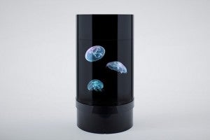 Jellyfish-Cylinder-Nano-Aquarium-4
