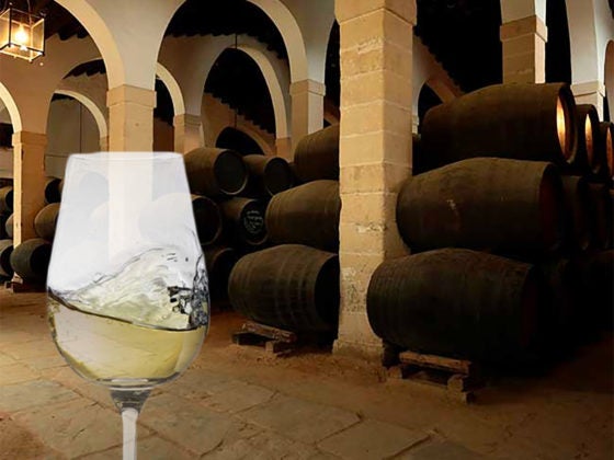 Sherry Wines from Spain