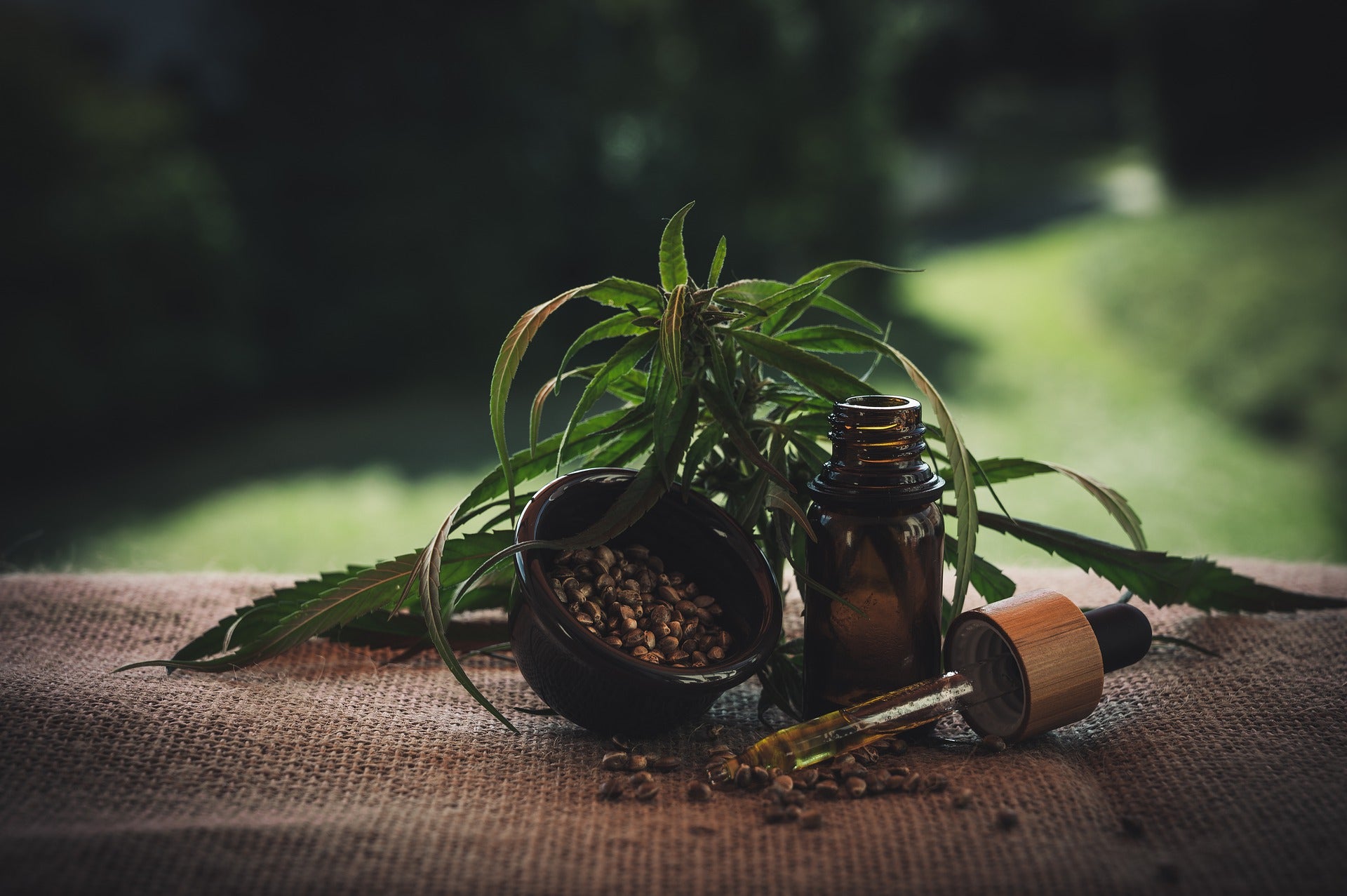 What should you know about the many benefits of CBD oil? - SWAGGER Magazine
