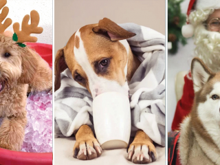 unnamed – 2025-11-08T005748.422