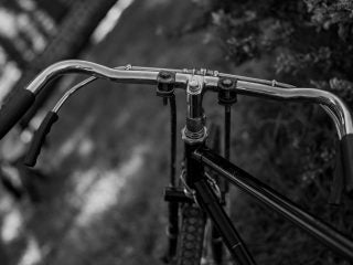 Grips